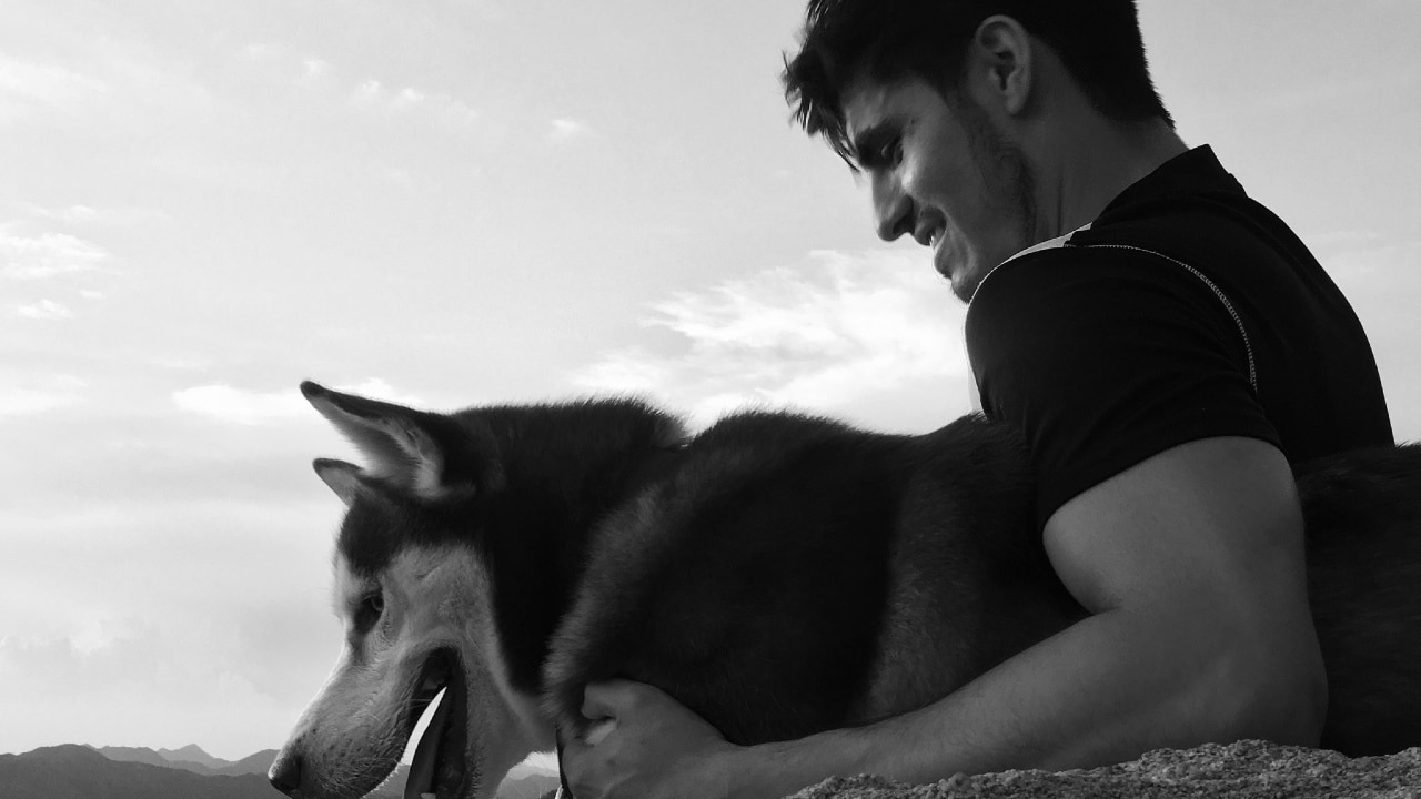 Dante murió de forma rara y dolorosa