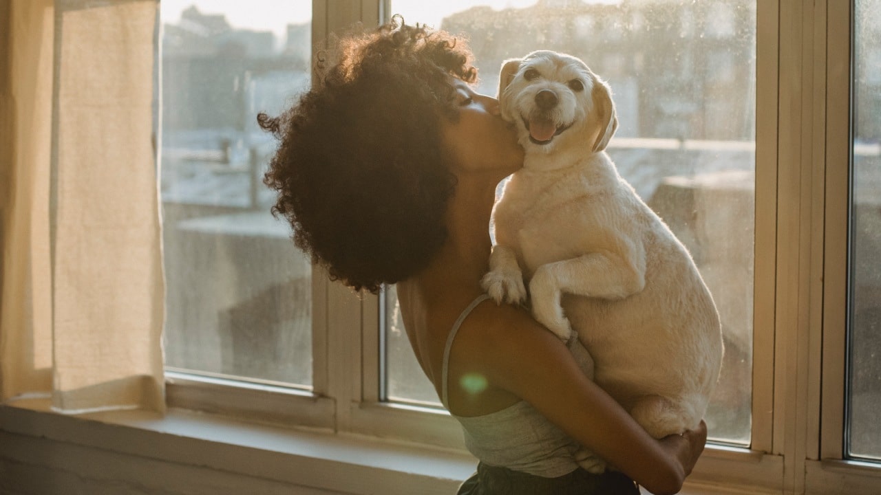 Cómo hacer perfume para perros