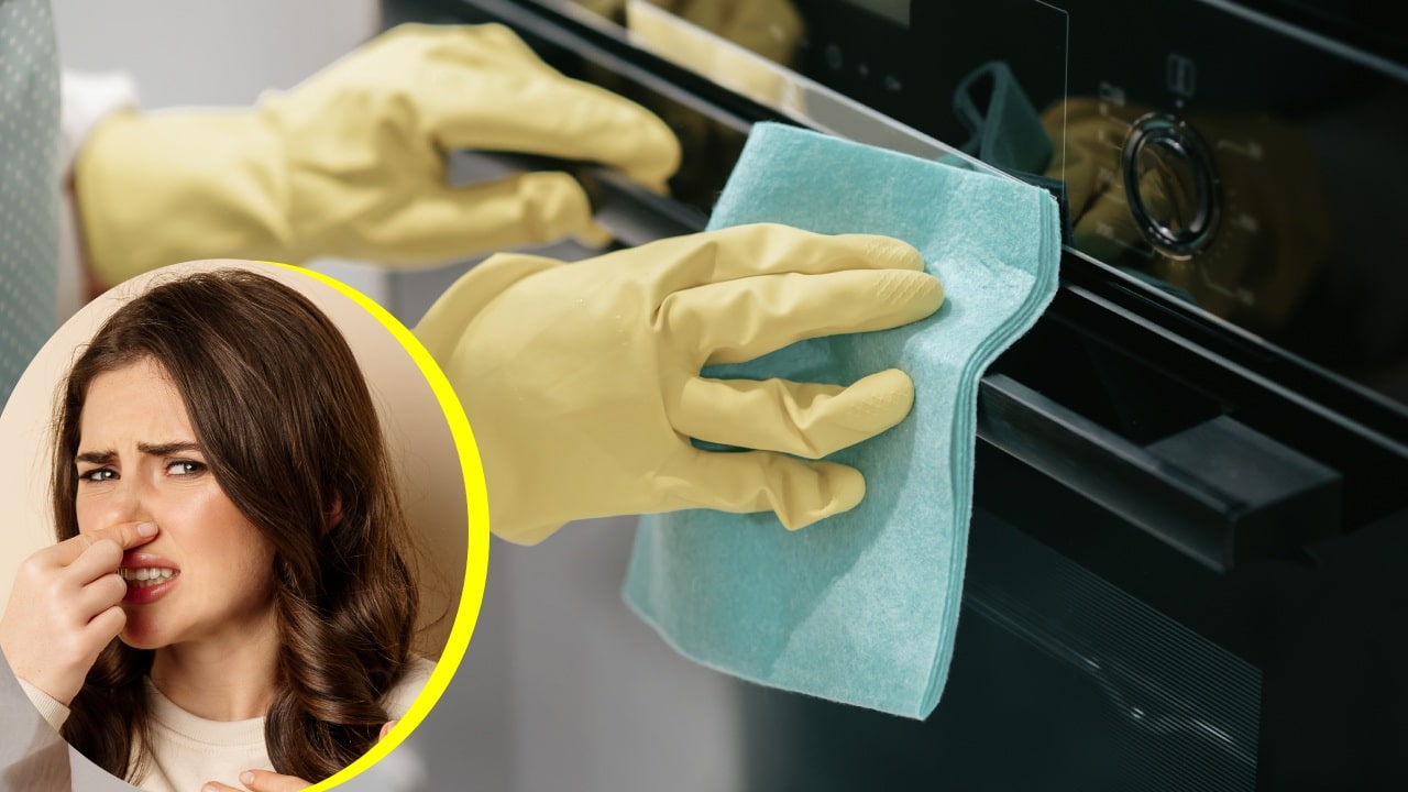 Eliminar mal olor de los trapos de cocina