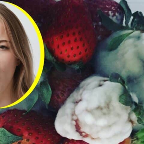 Cómo lavar y guardar frutas para evitar hongos