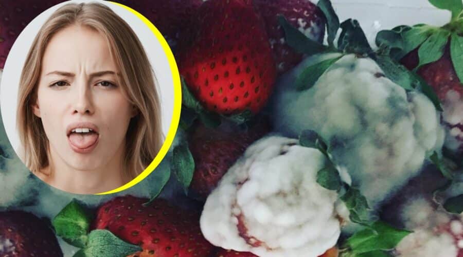 Cómo lavar y guardar frutas para evitar hongos