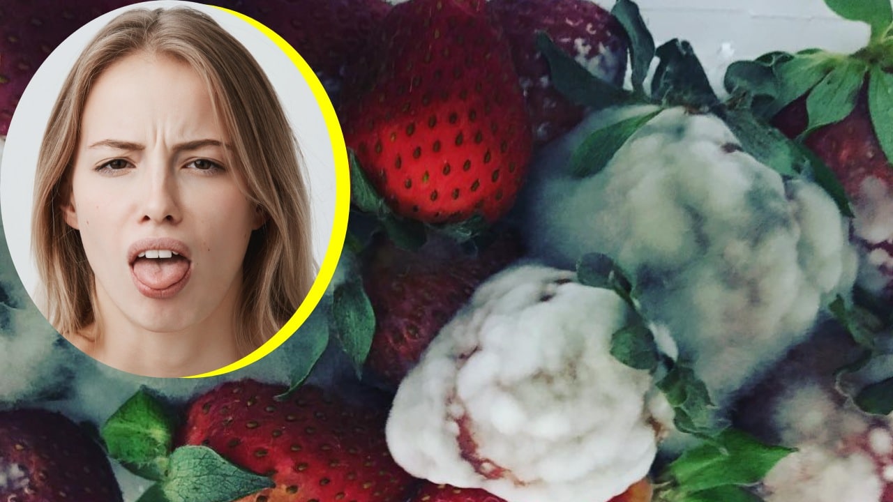 Cómo lavar y guardar frutas para evitar hongos