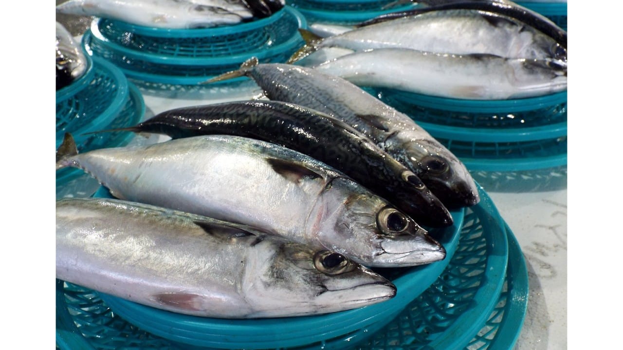 En cuánto está el pescado y dónde comprarlo barato