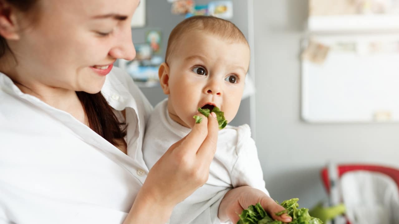 padres de Índigo de nuevo en la polémica