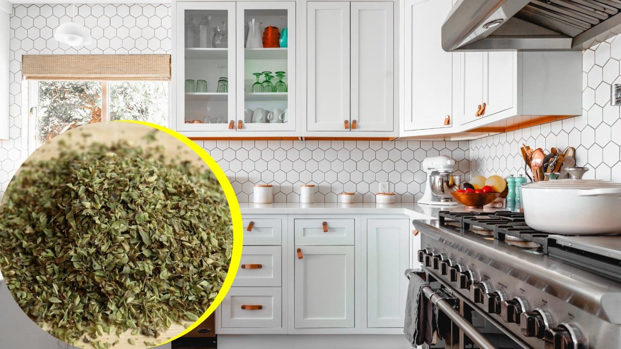 Beneficio de poner orégano en la cocina