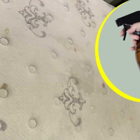 Cómo hacer un limpiador para colchón