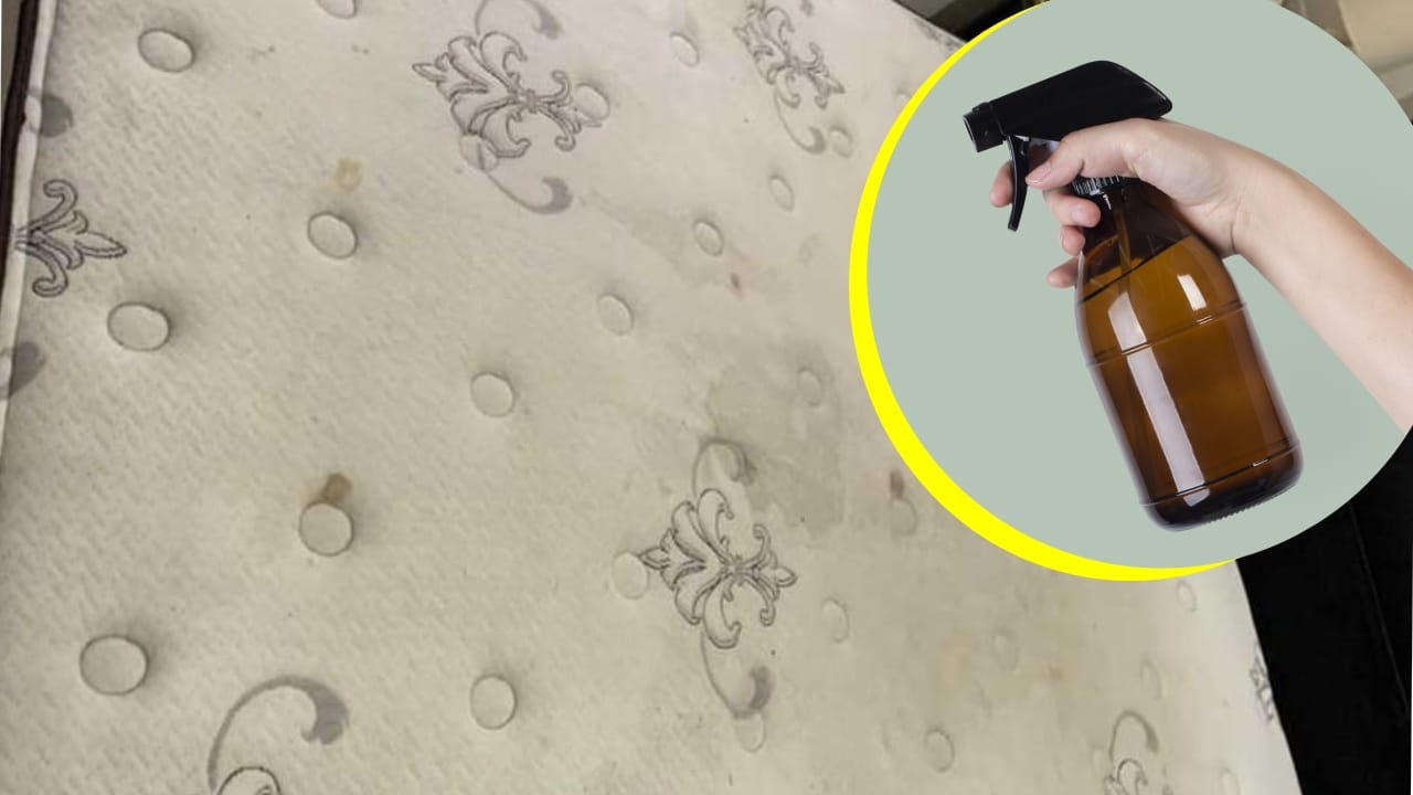 Cómo hacer un limpiador para colchón