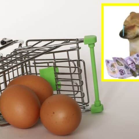 En qué supermercado está más barato el huevo