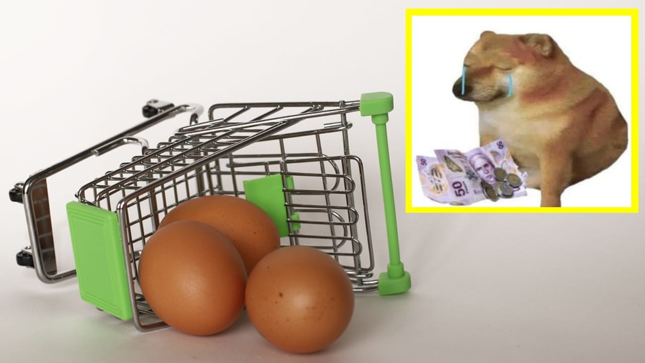 En qué supermercado está más barato el huevo