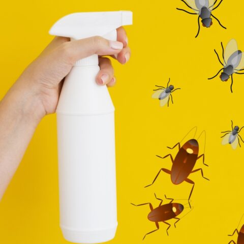 Insecticida casero con ajo para moscas y cucarachas