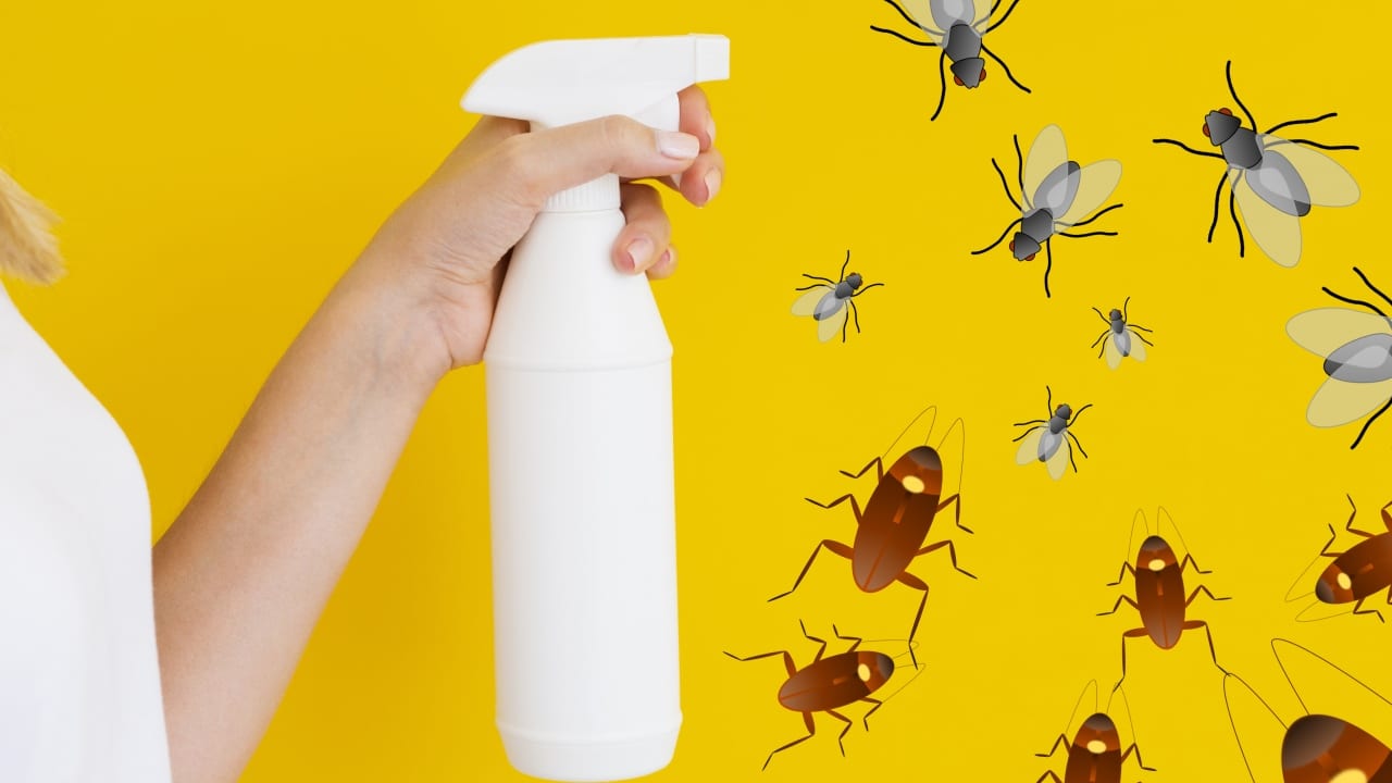 Insecticida casero con ajo para moscas y cucarachas