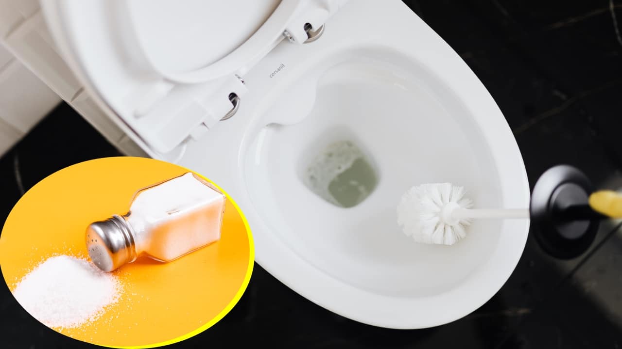 Verter sal en el inodoro