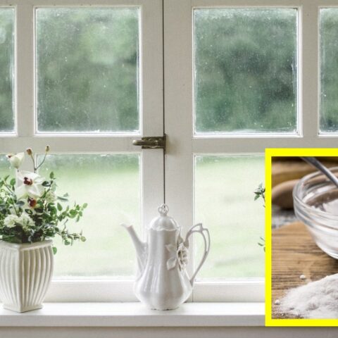 Bicarbonato en ventanas para ahuyentar plagas