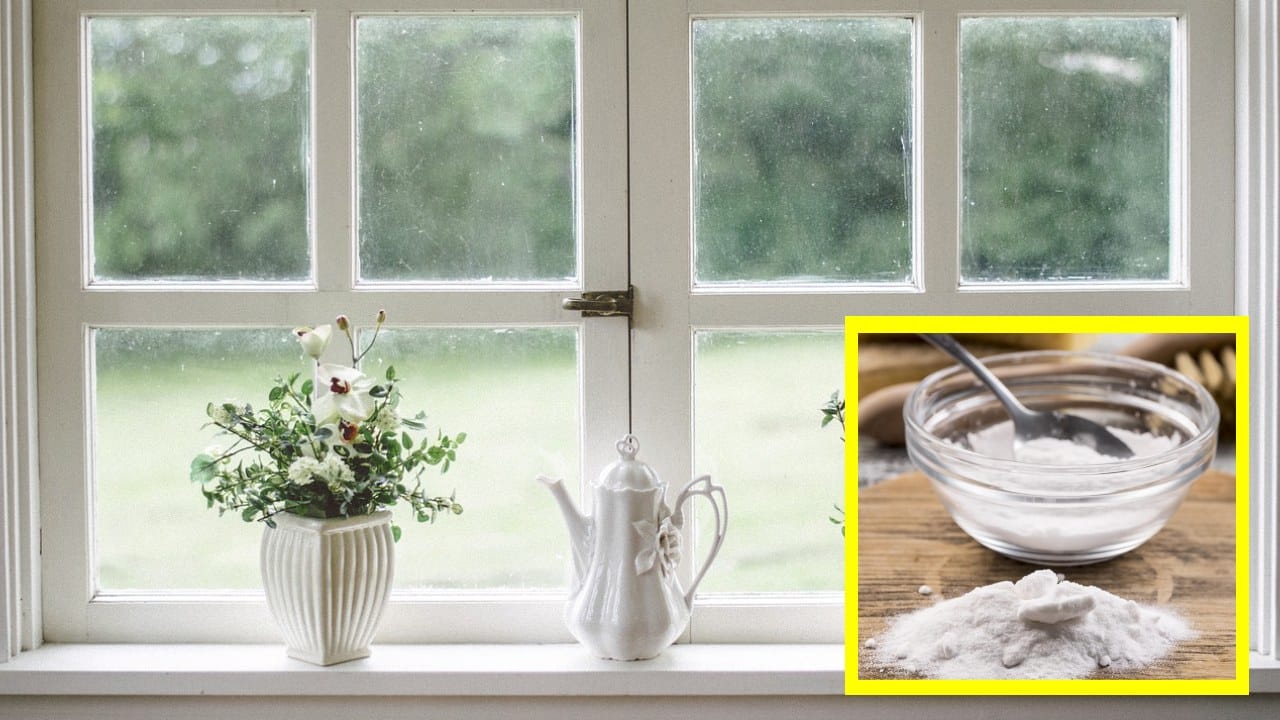 Bicarbonato en ventanas para ahuyentar plagas