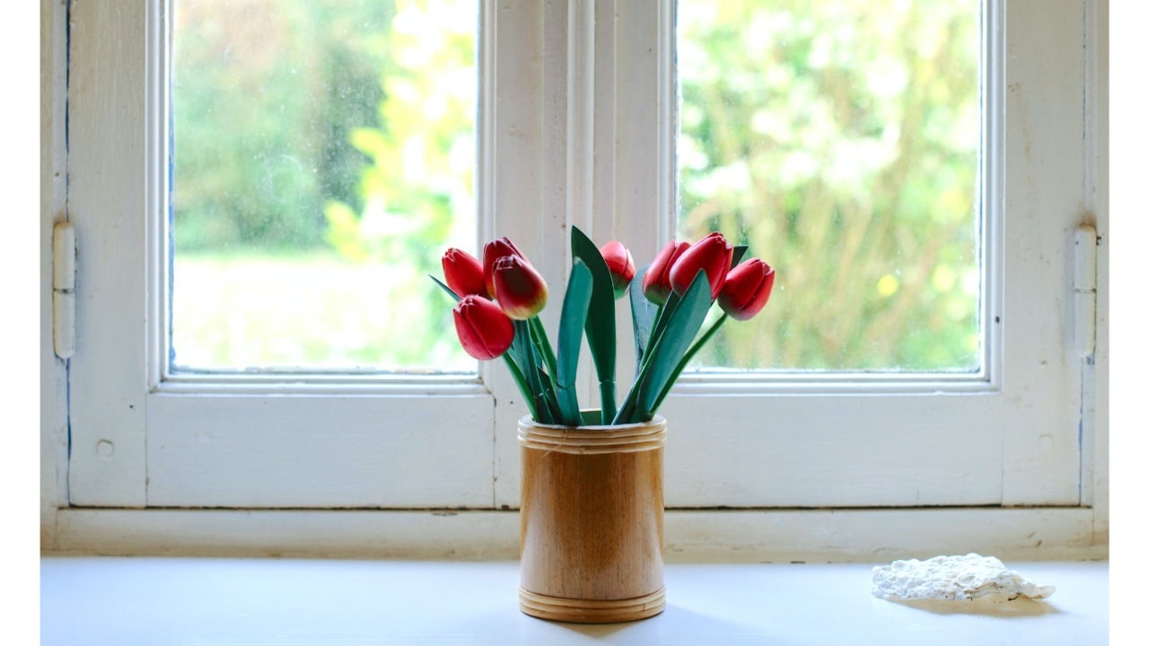 Bicarbonato en ventanas para ahuyentar plagas