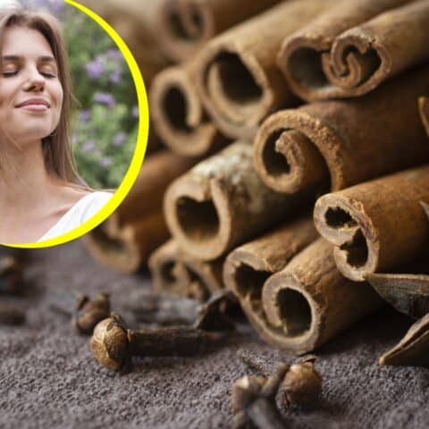 Mezcla con canela y clavo para proteger tu casa