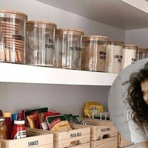 alimentos de la alacena que traen cucarachas