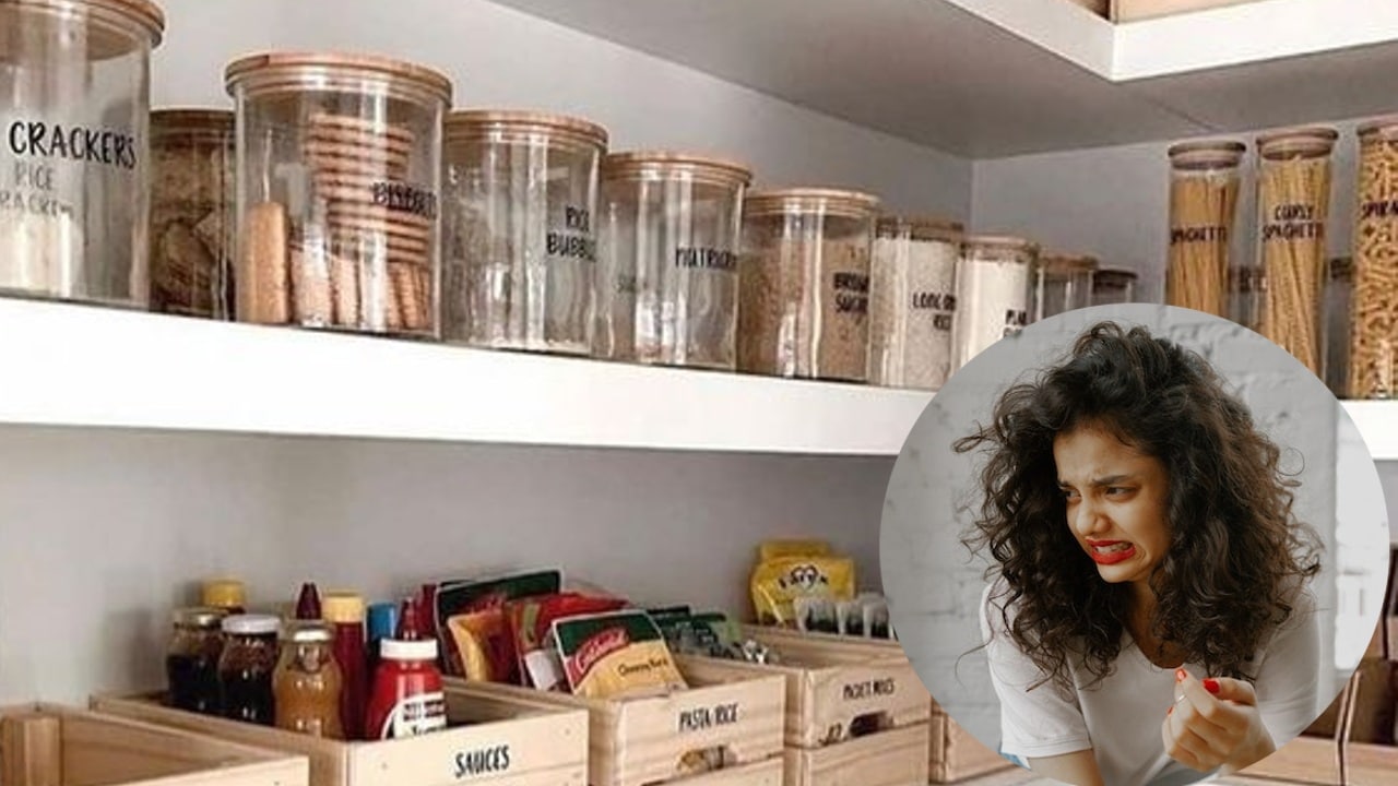 alimentos de la alacena que traen cucarachas