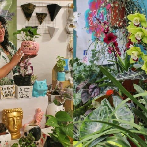Plant Fest 2023: Cuándo y dónde será este evento