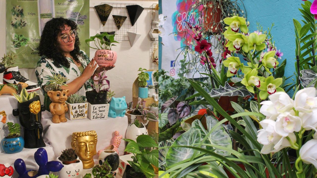 Plant Fest 2023: Cuándo y dónde será este evento