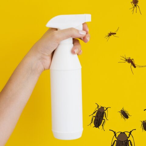 Repelente de laurel para zancudos y cucarachas