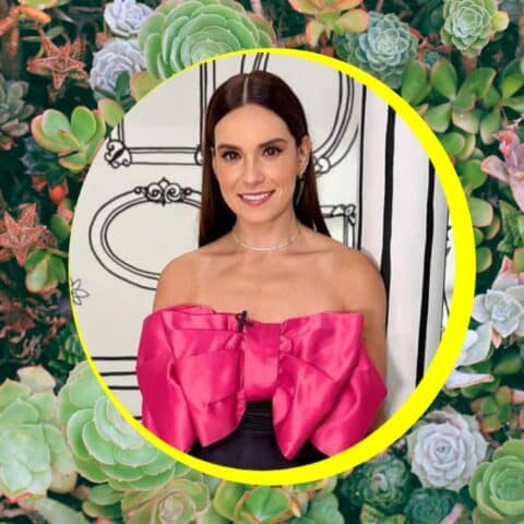 Tania Rincón atraer riqueza con suculentas