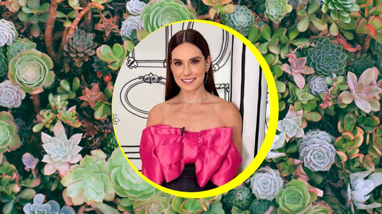 Tania Rincón atraer riqueza con suculentas