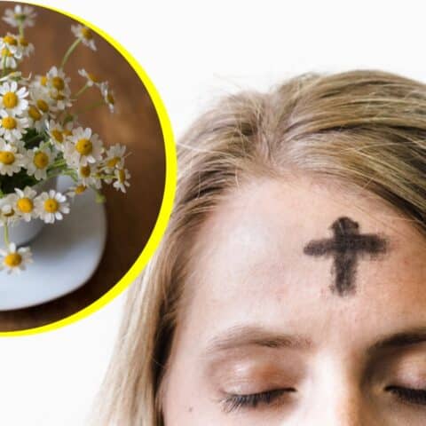 Té de manzanilla en Miércoles de Ceniza