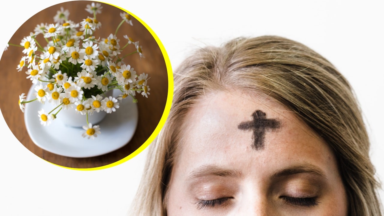 Té de manzanilla en Miércoles de Ceniza