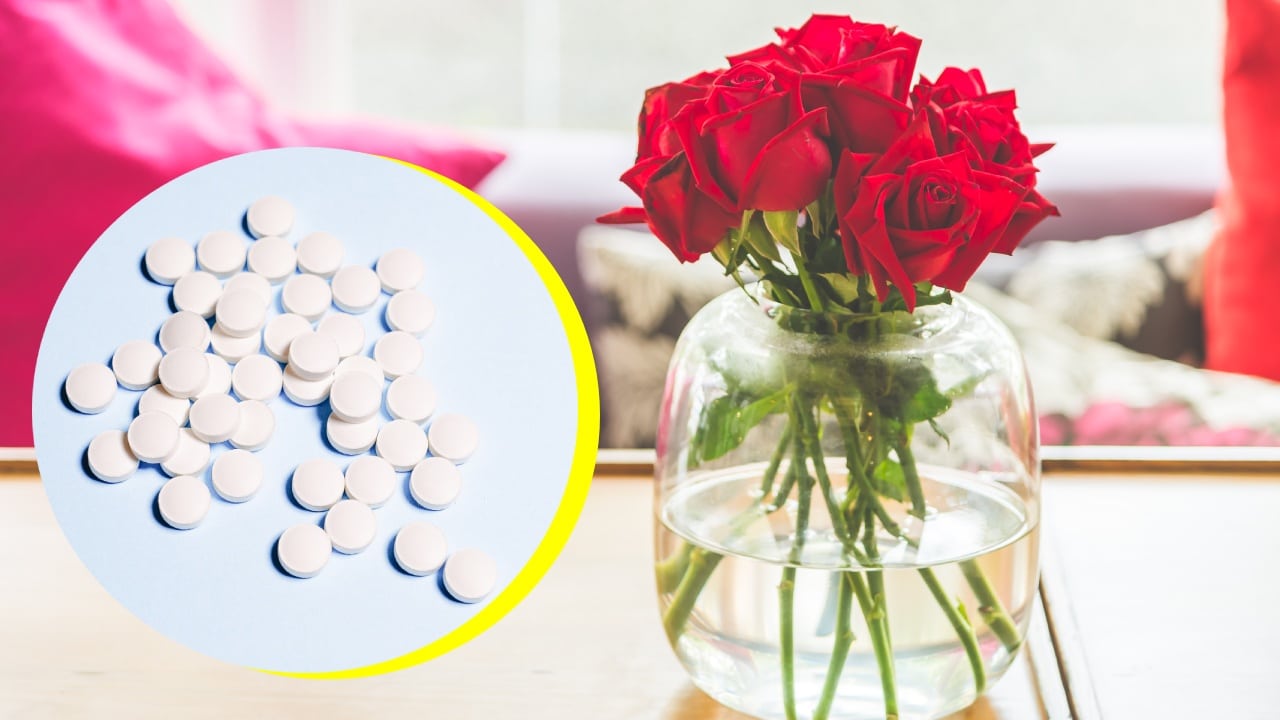 Truco con aspirina para mantener bonitas tus rosas
