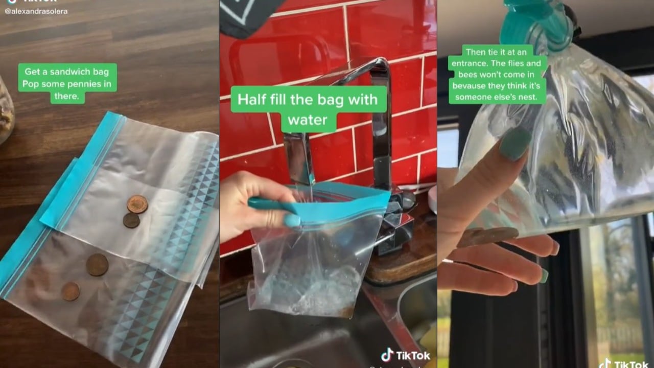 Truco con moneda para ahuyentar moscas