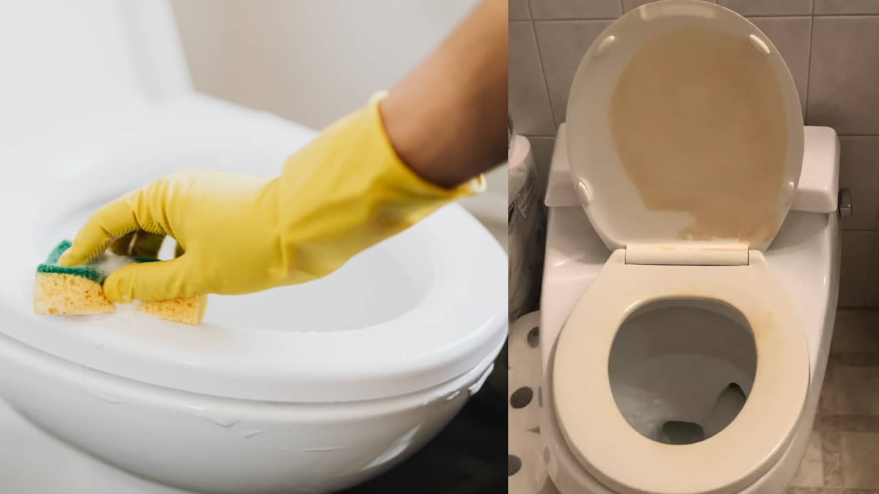 quitar las manchas amarillas de la tapa del inodoro