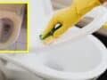 quitar las manchas amarillas de la tapa del inodoro
