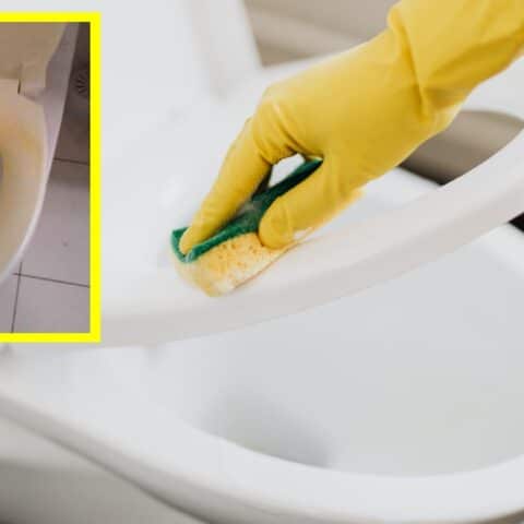 quitar las manchas amarillas de la tapa del inodoro