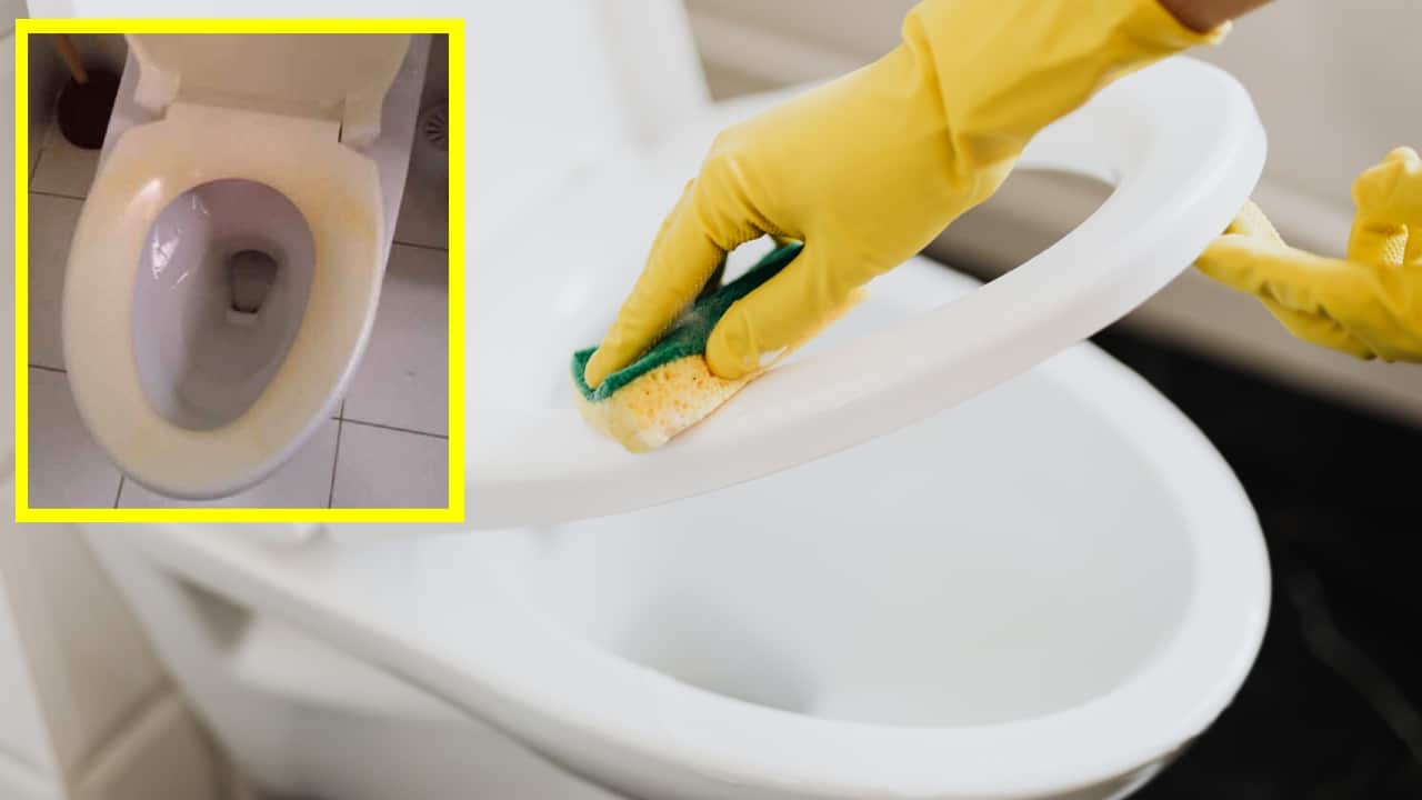 quitar las manchas amarillas de la tapa del inodoro