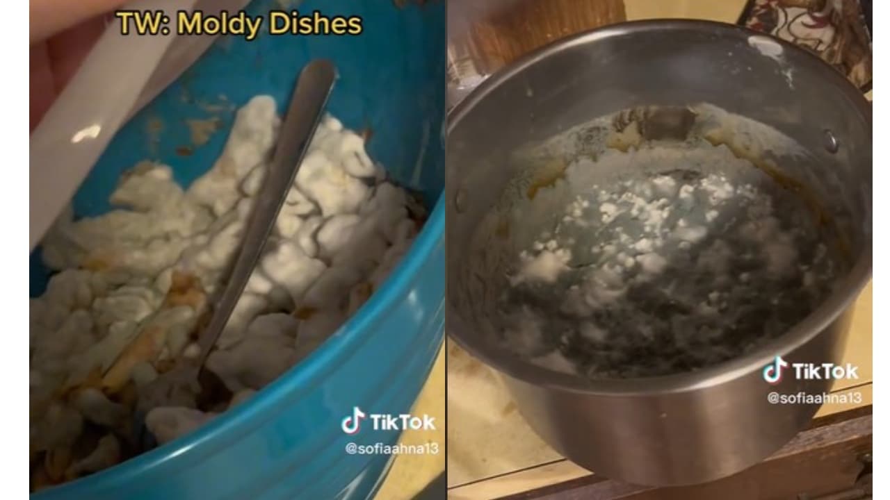 Cómo desinfectar tuppers con hongos