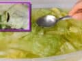 desinfectar una lechuga si encontraste gusanos