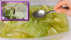 desinfectar una lechuga si encontraste gusanos