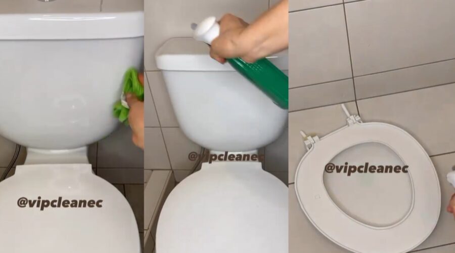 limpiar el inodoro