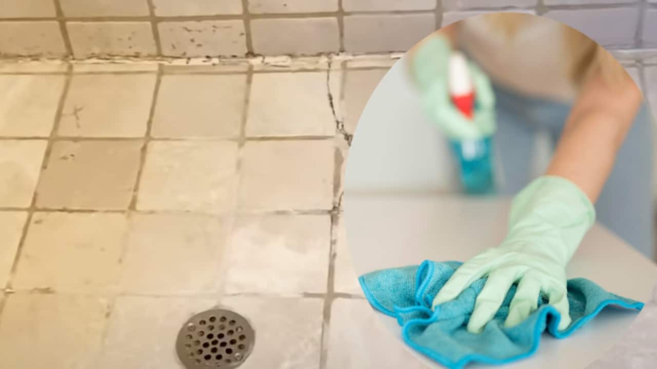 eliminar el sarro de la regadera