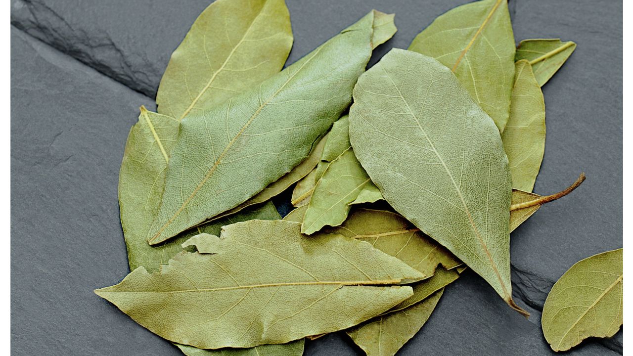laurel para eliminar los malos olores de la cocina 