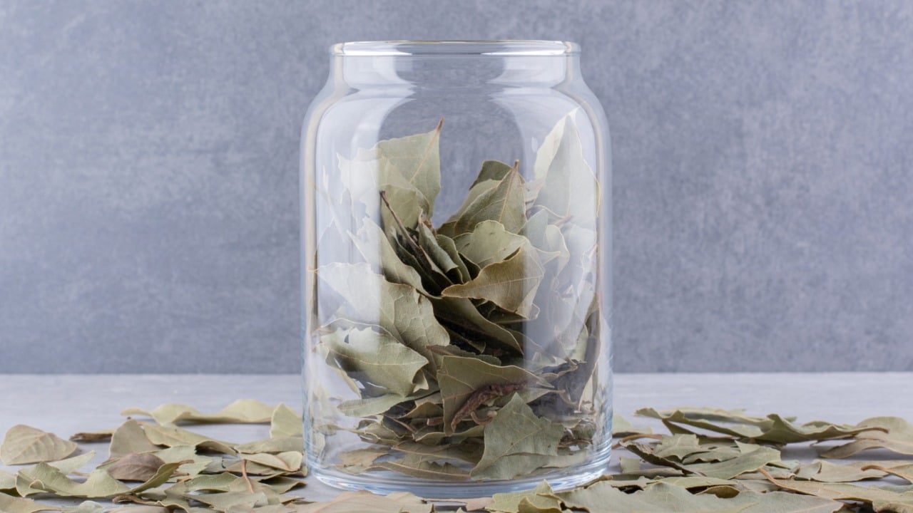 cómo usar el laurel fuera de la cocina