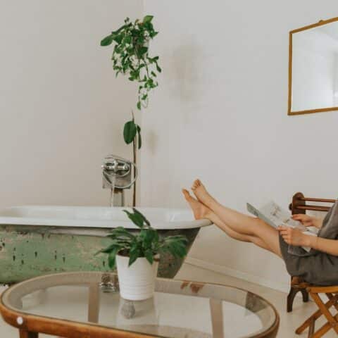 mantener plantas en el baño