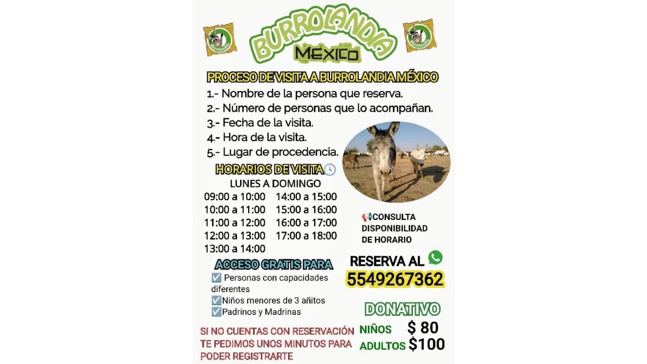 Cómo adoptar un burro para salvarlo