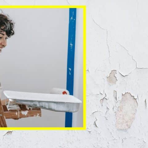 Cómo arreglar una pared con la pintura descascarada