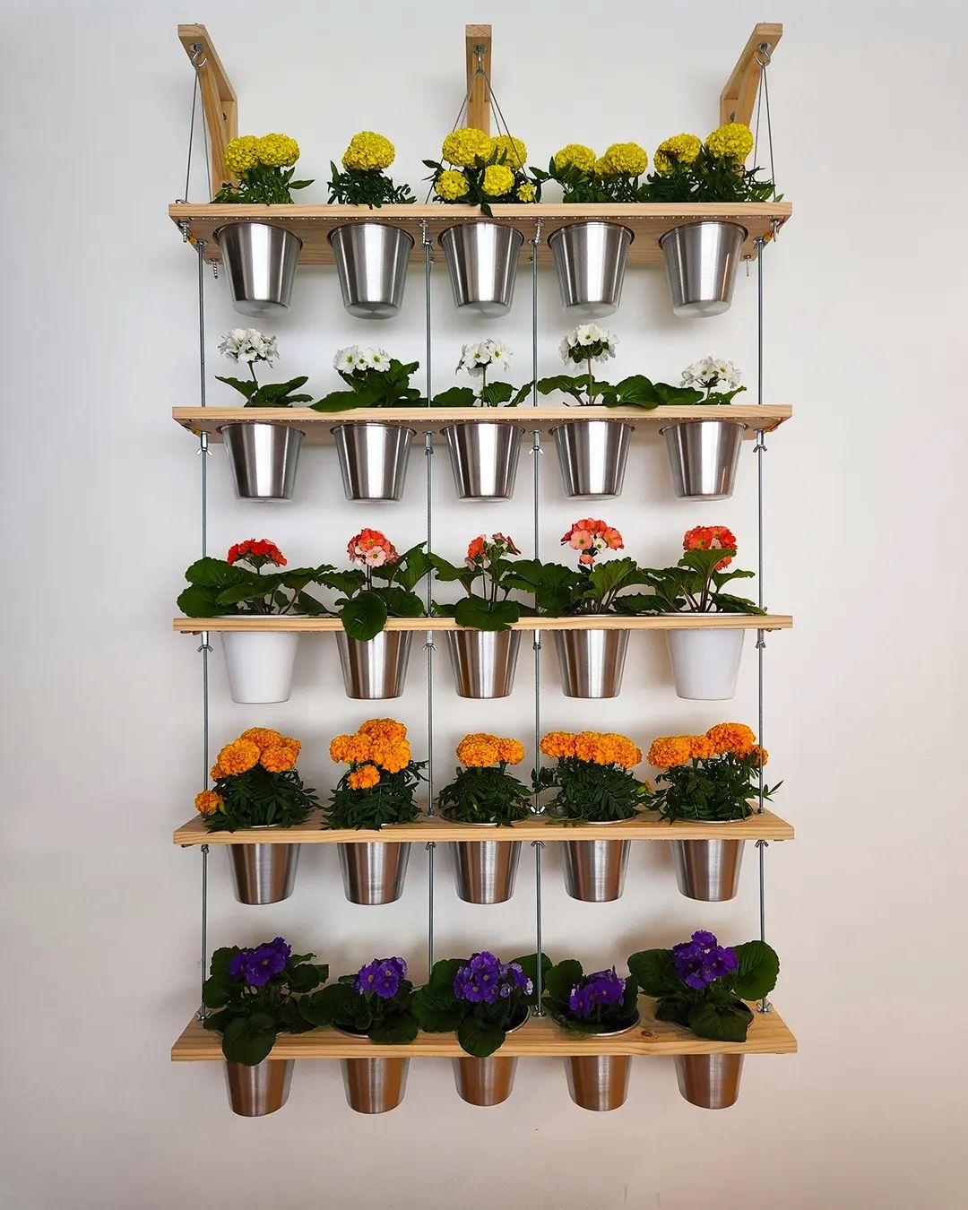 hermoso jardín vertical