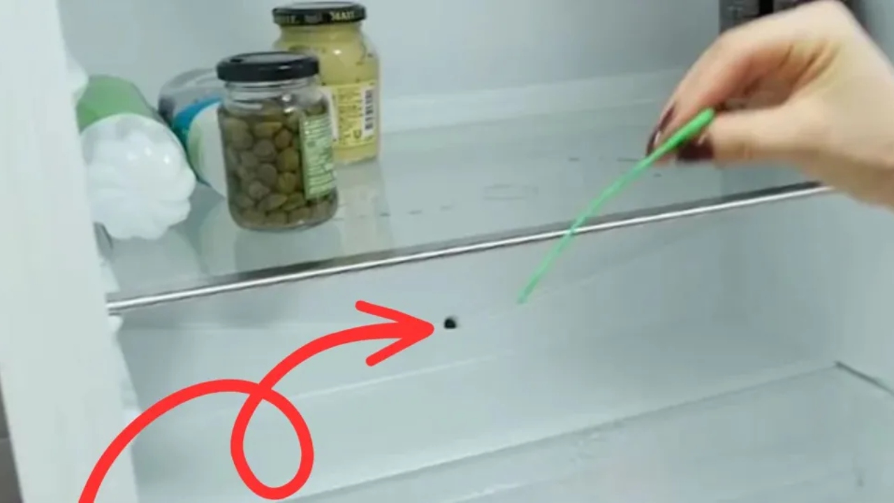 El botón en el refrigerador para evitar malos olores