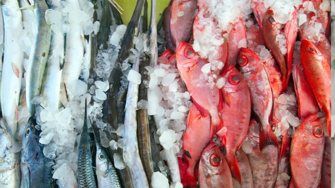 Comprar barato en Cuaresma