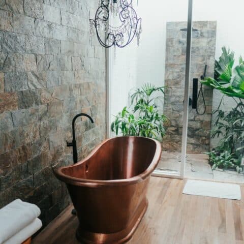 La planta que los ricos ponen en sus baños