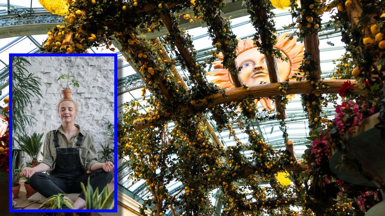 mejores plantas trepadoras y enredaderas